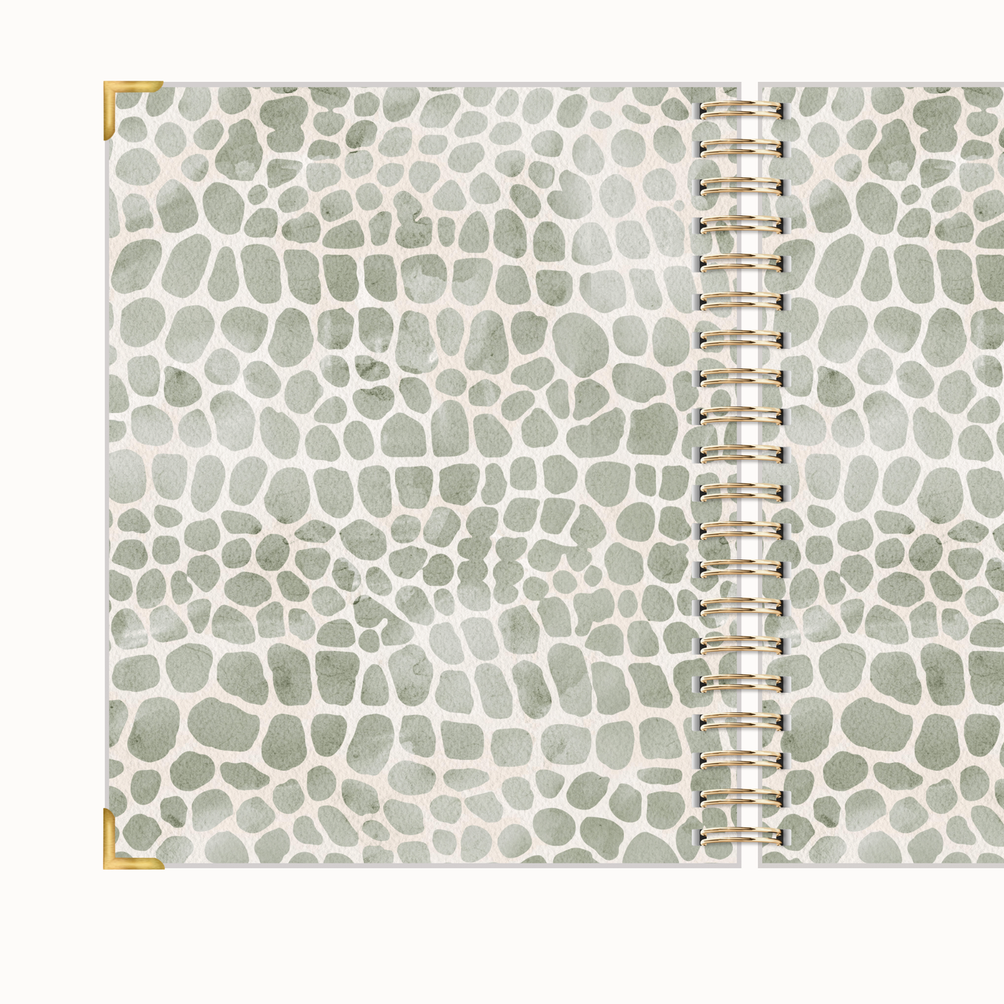 Pebble Daily Holy Grail