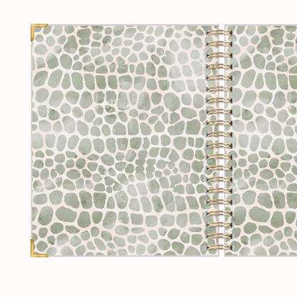 Pebble Daily Holy Grail